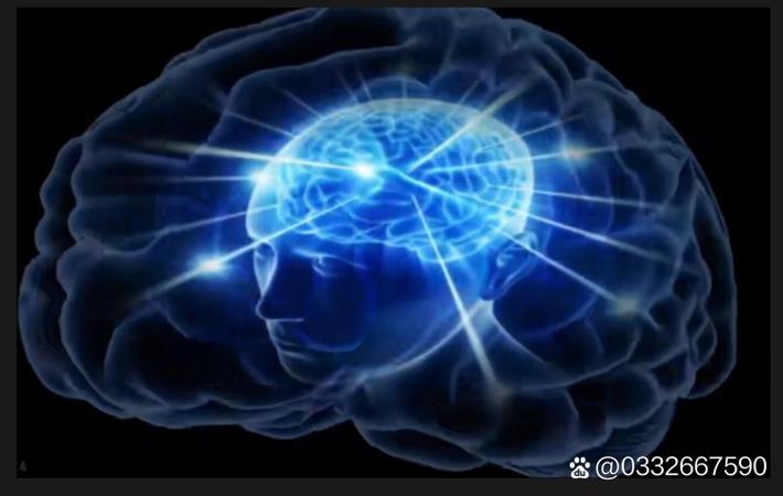 顶级游戏主播被曝私下操控比赛结果,职业联赛官方宣布启动调查程序